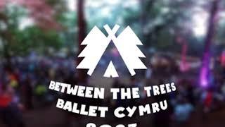 Ballet Cymru at Between The Trees 2023 (360 video)