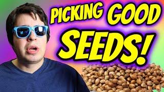 HOW TO TELL YOU GOT GOOD SEEDS!