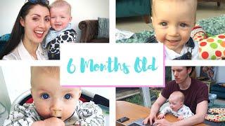 Baby Update - Six Months Old - Anna's Big Adventure