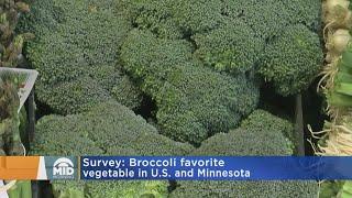 Broccoli Is Minnesota’s Favorite Vegetable, Survey Finds