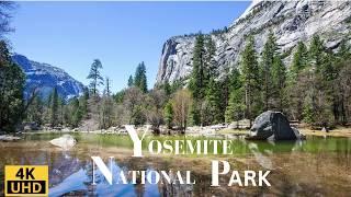 Yosemite National Park 4K/ Wildlife Film/ Stunning Footage/ Relaxing Music/ Nature Documentary