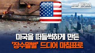 미국을 떠들썩하게 만든 '장수말벌' 드디어 마침표로