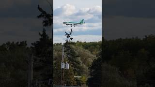 Aer Lingus AirbusA330 Moments before Arriving at Toronto Airport Runway09R #mydeliciousairplanes