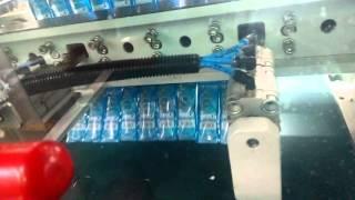 VFFS machine with collating conveyor & auto case packer | Shubham packaging