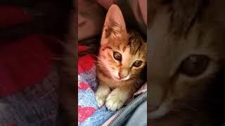 Pawsitively adorable. 