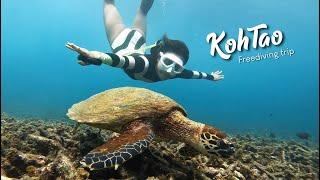 Freediving at Koh Tao 2021