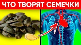 ВОТ ЧТО ТВОРЯТ СЕМЕЧКИ! (Реальная Польза и Вред Семечек Подсолнуха)