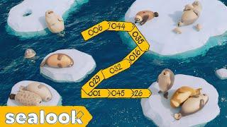 Sneak Peek into SEALOOK Land : 2nd Anniversary COMING SOON | SEALOOK | EP.123