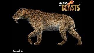 TRILOGY OF LIFE - Walking with Beasts - "Saber-Toothed cat" (Smilodon populator)