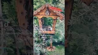 Деревянный декор своими руками. Кормушка на курьих ножках 