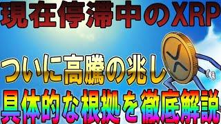 XRP遂に！！高騰の兆し　せっちゃんが徹底解説します！【仮想通貨】【イーサリアム】【リップル】【シバコイン】【ソラナ】【シバイヌ】【ドージ】【XRP】【SHIB】【D