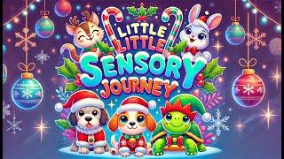 Little Sensory Journeys - Fruit Dance Party  Counting animation with music Bear Sensory