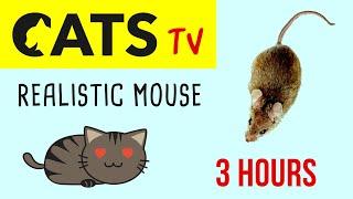 CATS TV - Realistic Mouse  HD - 3 HOURS (Video Game for Cat & Dog)