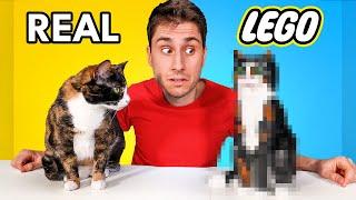 I Built My Cat out of Legos!