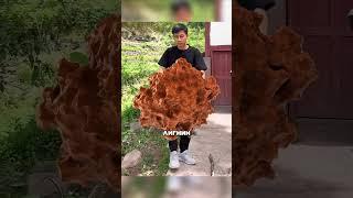Гибкое дерево #факты #технологии #стройка #строительство #юмор