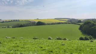 A sunny scene from the countryside