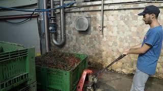 La San Marzano | Our No Waste Policy