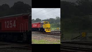 3 locomotives, 3 horns, YOUR CHOICE! #nzr #trains #nzrhorns #newzealand #video #viraltrainvideo