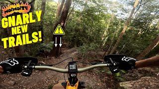 GNARLY NEW TRAILS KINCUMBER MTB | Jack Moir |