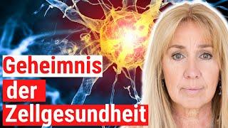 Tannenzellsaft: "Der Schlüssel gegen Alterung und Stress!"