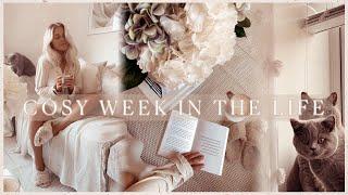 WEEK IN THE LIFE | home updates, beach sunsets, interior changes + life chats 