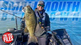 Fall Smallmouth BEATDOWN for 30+ Minutes!