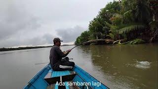 Fishing in rainy weather can result in consecutive strikes in one spot