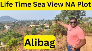 Sea Facing NA plot Alibag