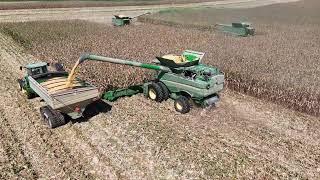 Corn Harvest 2024