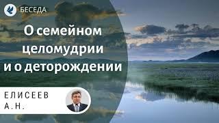 О семейном целомудрии и о деторождении. Елисеев А.Н. Проповеди МСЦ ЕХБ