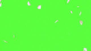 Flower fall green screen free download no copyright