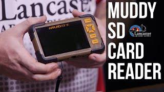 Muddy CRV43 SD Card Reader