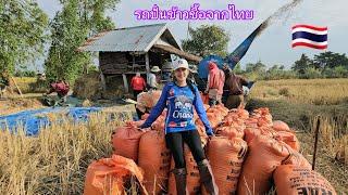 รถปั่นข้าวชื้อจากไทย มาปั่นข้าวอยู่ชนบทลาว เป็นที่นิยมสุดๆ