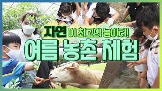 자연이 최고의 놀이터! 여름 농촌 체험~ | 생생투데이 사람과 세상, 2020.07.03(금)