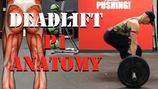 Deadlift P1- Anatomy