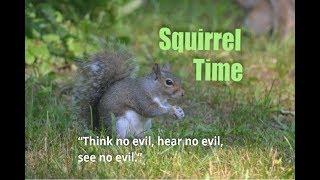 Squirrel Time - Ep10 "Think no evil, hear no evil, see no evil"  the fortune cookie episode