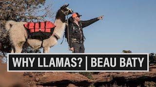 WHY LLAMAS? | WILDERNESS RIDGE TRAIL LLAMAS | BEAU BATY | ️ GRITTY EP. 754