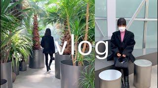 vlog 직장인 브이로그. 식물관PH 갔다가 모드니에서 그릇쇼핑하고 집에서 쉬는 휴일 일상 (부가티 커트러리, 웨지우드, 아우든, 프릳츠, 임크리, 렉토, 프라다, 비바스튜디오)