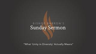 What “Unity in Diversity” Actually Means — Bishop Barron’s Sunday Sermon