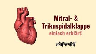 Mitral- & Trikuspidalklappe des Herzen einfach erklärt! - Wie funktioniert die Vaskularisation?