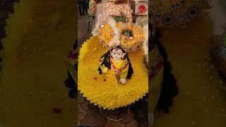 #Vrindavan Kunj galiyan Laddu Gopal viral video#Bihari ji ki gali banke Bihari Lal Kunj Gali