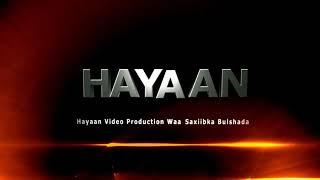 HAYAAN MEDIA OPENER