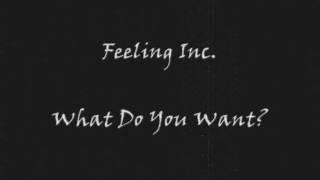 Feeling Inc. - What Do You Want