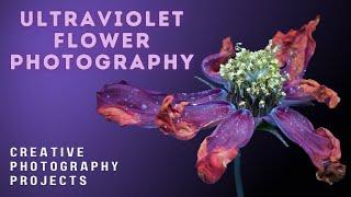 UV (ultraviolet fluorescence) flower photography - How to take photos of glow in the dark flowers!