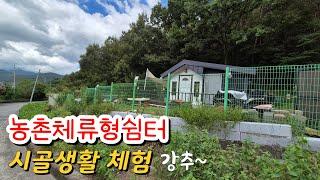 갑갑한 도시를 벗어나 농촌체류형쉼터에서 전원생활해보세요  (No.452)#밀양땅#밀양전원주택#밀양촌집#밀양세컨하우스#밀양한빛부동산#밀양부동산#서밀양IC부동산@onelight0077