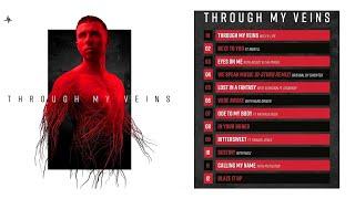 D-Sturb | Through My Veins | Album 2024 [ Extended Mixes ]