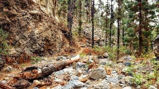 Ruta Camino de Ifonche, Tenerife