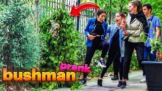 Bushman prank in iranbest 2023