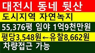 낙찰종료. 대전시 동네뒷산 7필지 55,376평 1억9천만원 평당3,548원 충북 옥천군 군북면 (땅을 정복하라) 경매 귀농 귀촌 부동산 임야 잘사는법