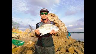 Jessie 'Toril King' landed this 1kg Mamsa at Toril